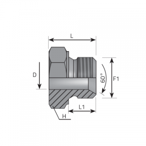 Welding adaptor BSPP. (AMNS)